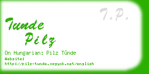 tunde pilz business card